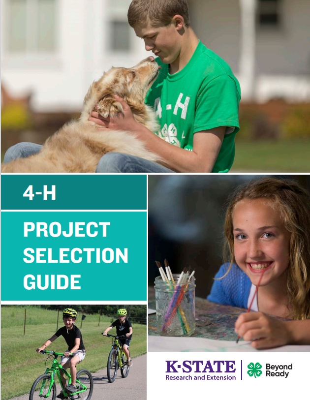 Project Guide - Cover Image
